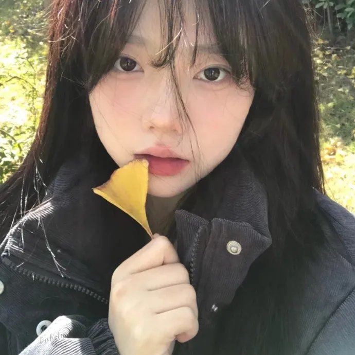 动物频道